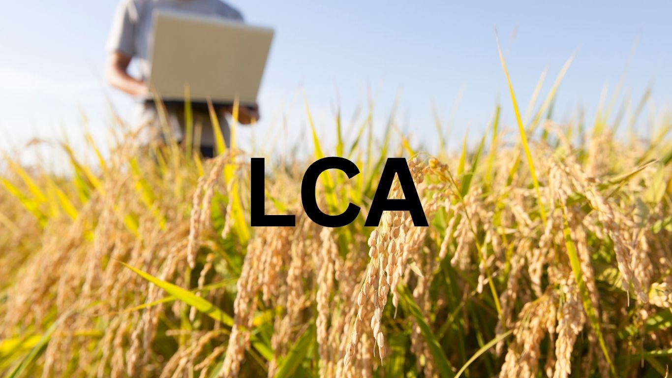 Como Investir em LCA em 2025: Guia Completo Para Aproveitar Essa Oportunidade